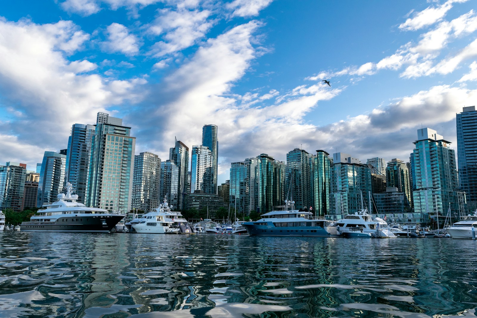 Vancouver harbour